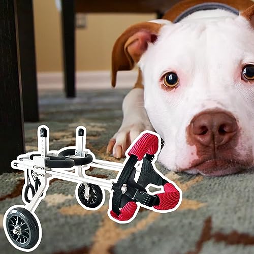 Silla de ruedas ajustable para patas traseras, carrito de movilidad de 2 ruedas para perros discapacitados, soporte de rehabilitación de mascotas para cachorros