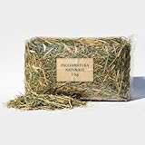 Pacciamatura Naturale 5 kg | Paglia di Grano Duro, Fieno di Prato (Trifoglio) ed Erba Medica Alfa-Alfa | Concime Organico e Pacciame Biodegradabile per Orto, Giardino e Aiuole