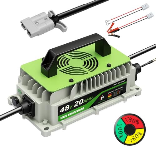 20A 48V Lithium LiFePO4 Charger