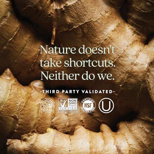 New Chapter Men's Multivitamin for Immune, Stress, Heart + Energy Support with Fermented Nutrients - Every Man's One Daily, Made with Organic Vegetables & Herbs, Non-GMO, Gluten Free - 72 ct