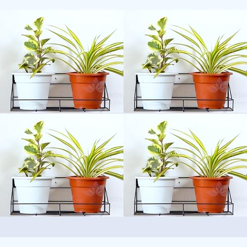 Image of D&V Engineering Metal Wall-Mounted Planters Stand | Hanging Flower Pot Holder for Balcony, Living Room, Office Decor | Space-Saving Plant Stand | Holds Up to 20kg | Pack of 4, Black