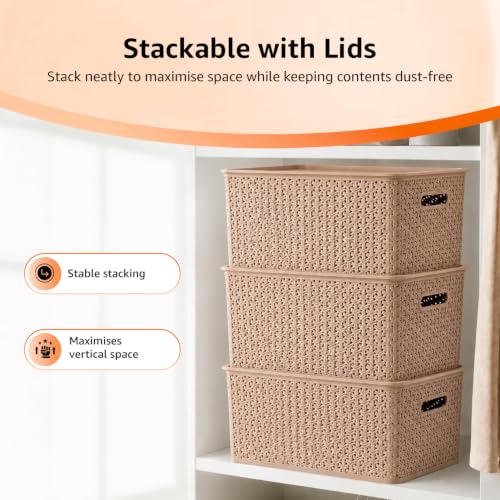 Image of Amazon Basics Set of 3 Plastic Storage Baskets with Lid - Stackable Organiser for Wardrobe, Kitchen, Clothes, Toys, Books, Office Multipurpose Shelf Basket (Large, 36x30x22 cm) | Biscuit, Rectangular
