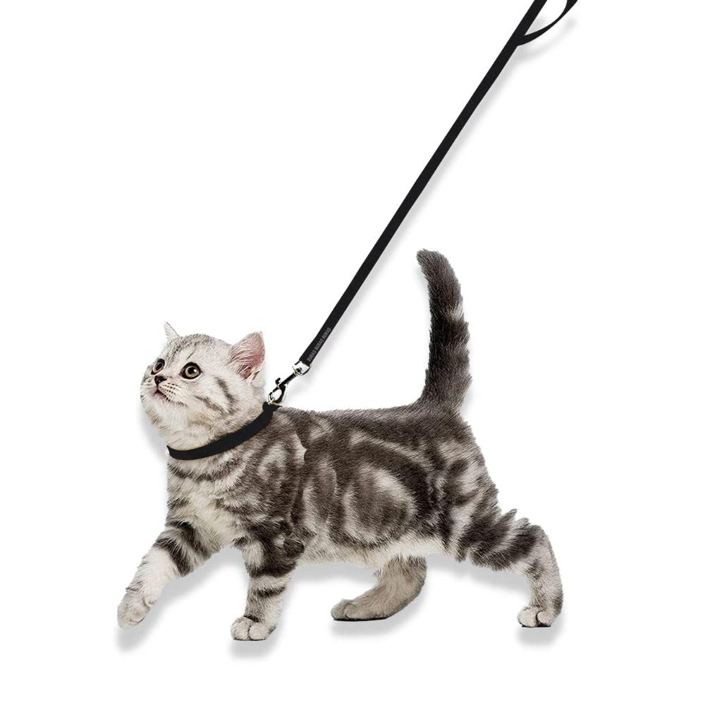 Buraq Collar and Leash Set, Adjustable Collar Leash with Bell Perfect for Cats and Puppies (Black) (B0B857TFY5) Amazon Price History, Amazon Price Tracker