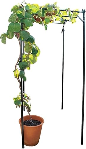 ʕI Zbg 90cm s120cm 180cm I I K[f K[fjO I A[` | LECI |I