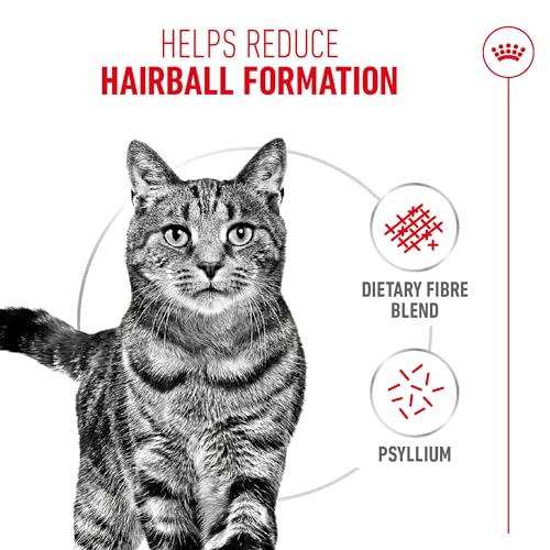 Image of Royal Canin Hairball Care for Cats, 400 Grams, Dry Food, Dietary Fiber Blend, Provides 2X Hair Excretion, Proven Results in 14 Days