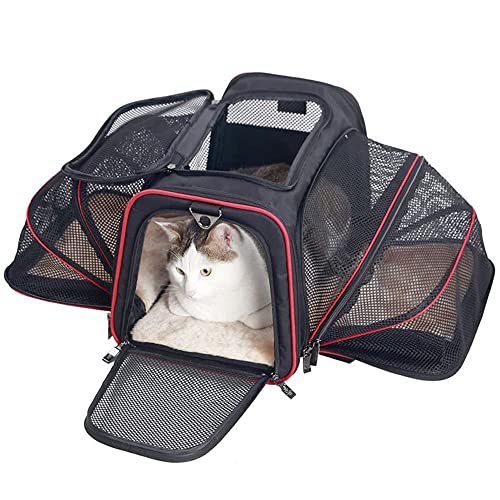 AIBAB Transportín Gato Perro, Bolsa Transporte Plegable & 2 Lados Extensibles Pet Carrier,Bolsa de Transporte con Almohadilla de Felpa Extraíble Gray L