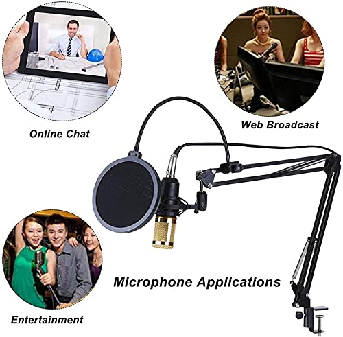 Pacchetto Microfono a condensatore BM-800 e Mixer Audio a 2 canali: Set Completo di Attrezzature per DJ e Home Studio per Registrazione, Karaoke e Streaming Liv