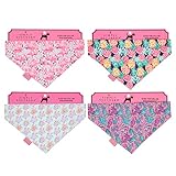 Simply Southern Pet Bandana (Flamingo)