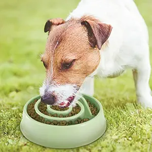 Pets Empire Slow Feeder Dog Bowl Anti-Slip Pet Cat Puppy Food Dish Water Feeding Bowl1 Piece ( Color May Vary )