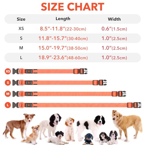 Collier LED pour chien pour éviter les dangers de la nuit réglable - 6