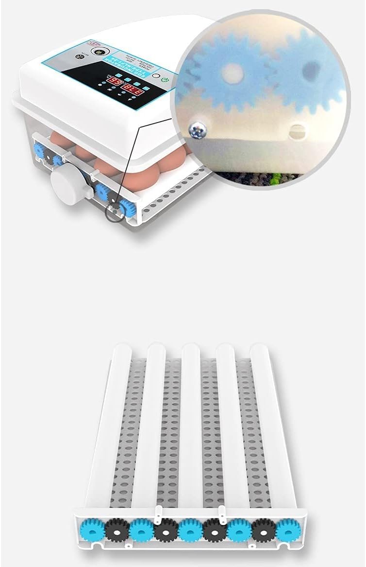 Incubadora Incubadora de huevos de 24 compartimentos Incubadora digital de huevos Temperatura Ama de casa Mini Incubadora automática de pollos Patos Gansos Aves Incubadora automática de huevos(Single