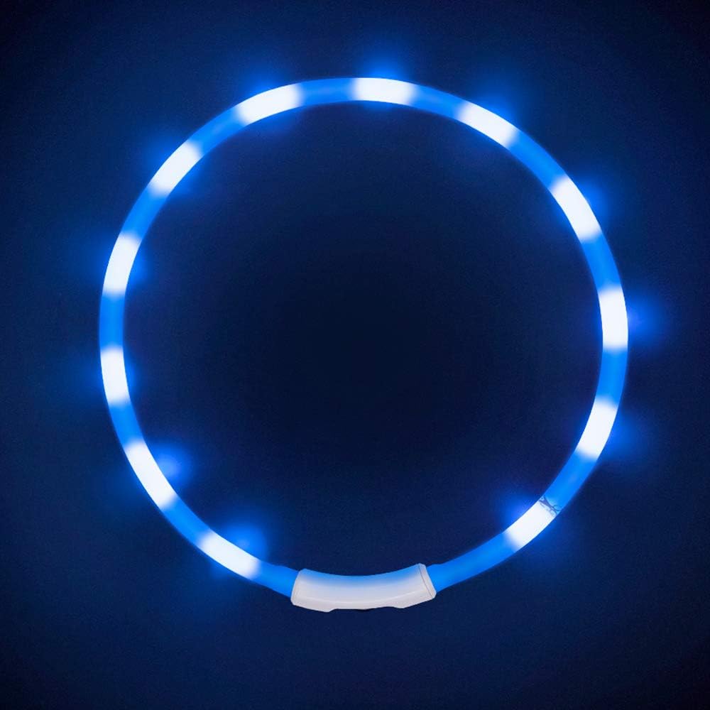 Collier LED clignotant pour chien