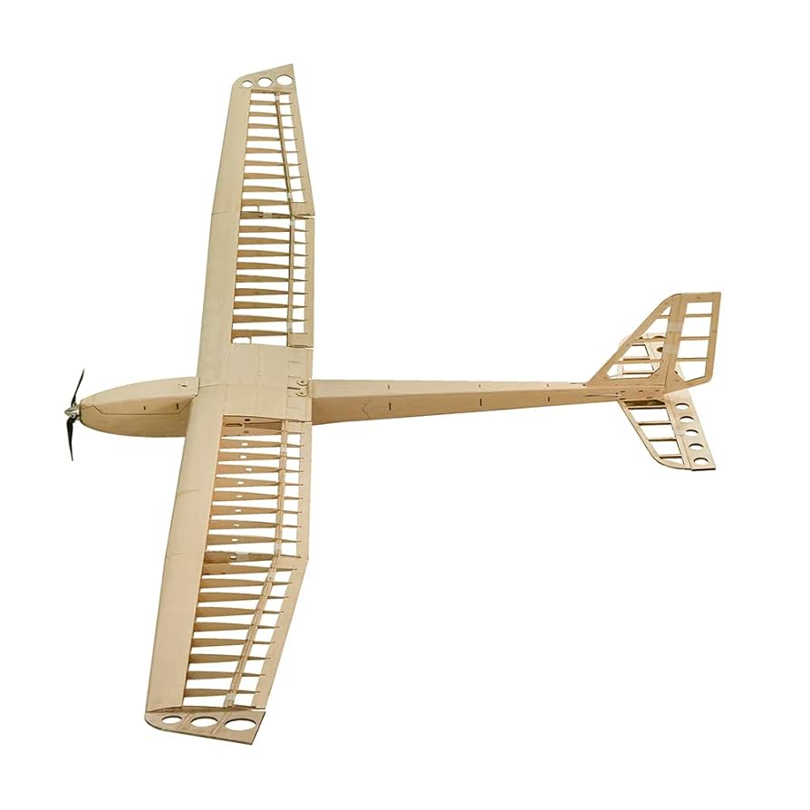 Amazon.com: Balsa Wood Glider Plane F25 AION-25 Sailplane