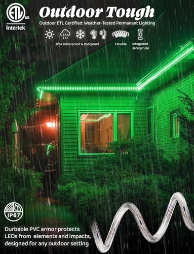 Luz LED en cuerda verde 60 pies 648 LEDs con control miniatura 2