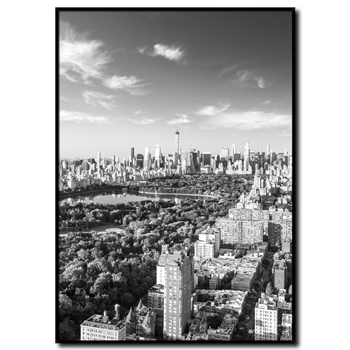 daazoo Tableau New York Central Park avec cadre 50 x 70 cm (prêt à suspendre) – Le cœur vert de New York – Tableau mural encadré – Set d'images –...