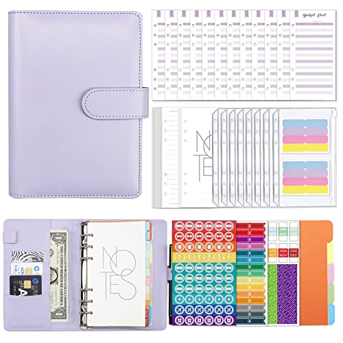 Buste Con Zip Raccoglitore Budget Planner A6 - 30 Pezzi, Con Buste A Cerniera, Per Gestione Soldi (Rosa) Planner Spese Personale