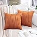 MIULEE Juego de 2 Cojines Funda de Cojín de Terciopelo Decoración para Habitación Suave Color Sólido Funda de AlmohadaCuadrada para Sala de Estar Sofá Silla Dormitorio 40x40cm Naranja