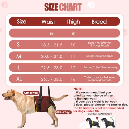 SlowTon Dog Lift Harness - Adjustable Dog Sling for Medium Large Dogs, Hind Leg Support to Help Rehabilitate, Soft Padded Dog Support Harness for Elderly, Injured, Arthritic, Disabled Dogs(R,L) by SlowTon - Image 6