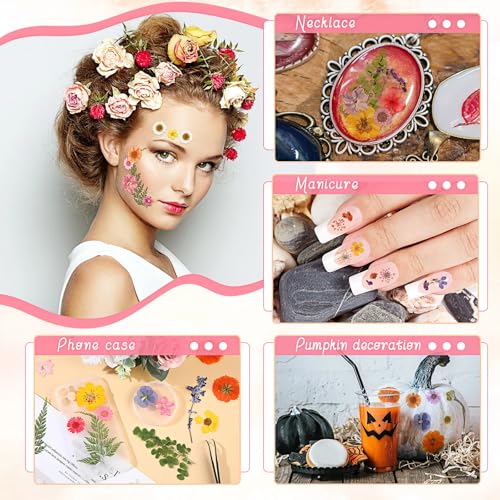 72 flores secas prensadas para manualidades DIY miniatura 4