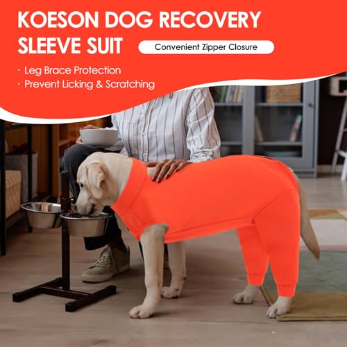 Image of KOESON Dog Recovery Suit Hind Leg, Recovery Sleeve for Female Male Dogs, Pet Leg Sleeve to Stop Licking, Pet Rear Leg Wound Cover, Dog Spay Onesie for Wound Heal Care