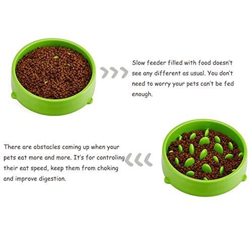 BIGWING Style Ciotole per Cani Gatto