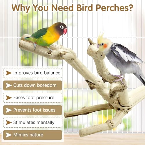 Image of kathson Bird Perch Stand 10 inch-12 inch Nature Wood Stand Toy Parrot Cage Branch Paw Grinding Fork Parakeet Platform for Parakeets Cockatiels Conures Finches Love Birds(Small)