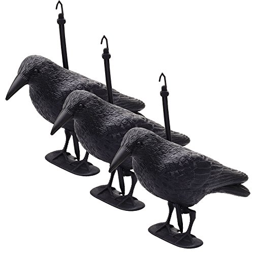 Baytter 3x Taubenschreck Taubenabwehr Vogelschreck Vogelschutz Rabe Krähe Lockvogel Vogel stehend und hängend 38 cm