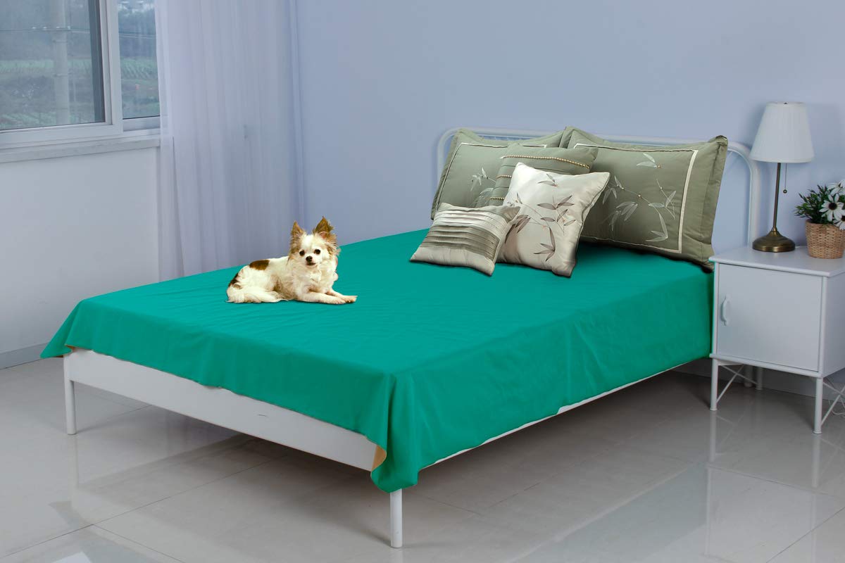 Silly Legacy Reversible Waterproof Protective Cover or Liner for Bed or Couch, for Dogs and Cats (Queen 82 x 78, Teal/Walnut)