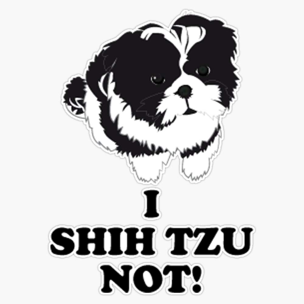 I Shih Tzu Not Hilarious Dog Puppy Shih Tzu T Sticker Vinyl Waterproof Sticker Decal Car Laptop Wall Window Bumper Sticker 5"