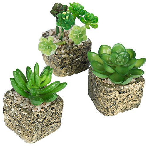 MyGift Set of 3 Decorative Green Realistic Mini Succulent Plants w/Brown Stone Pots