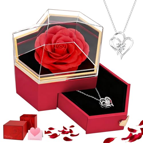 JABNOW Ewige Rose mit Kette Konservierte Rosen Ewige Rosenbox mit Herzkette zum Valentinstag Muttertag Weihnacht Hochzeit Jahrestag Geburtstagsgeschenk für Frauen Freundin Mama Oma