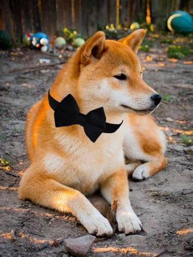 Collar para perro mediano con moño y hebilla rápida miniatura 6