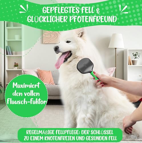 TESTURTEIL SEHR GUT Softbürste verbesserte Version **VERGLEICHSSIEGER** Katzenbürste, Hundebürste Pudel mit Schutznoppen für besonders empfindliche Tiere