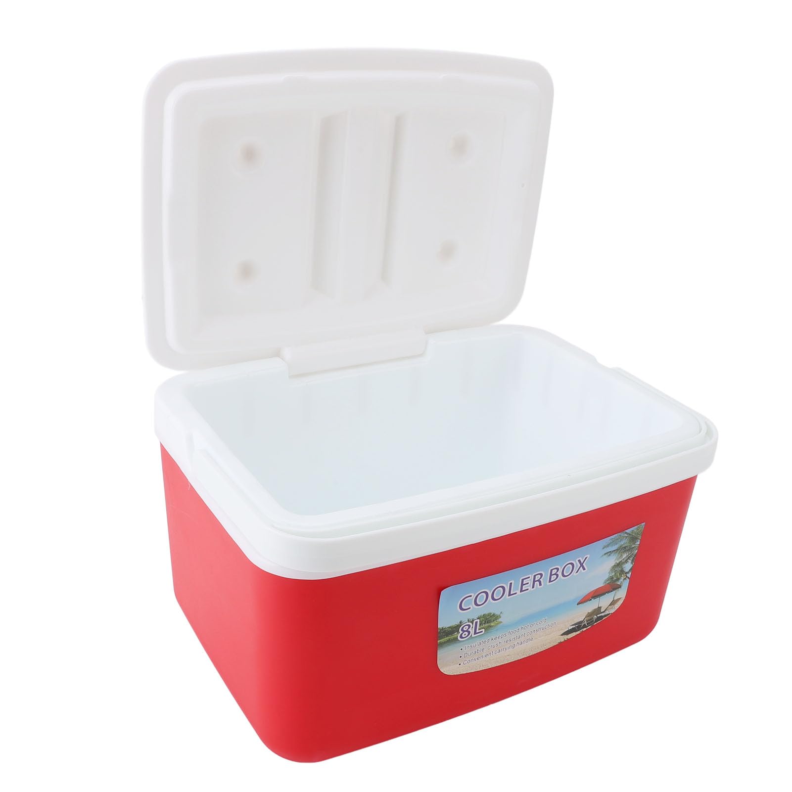 Denash Glacière Isolée Portative Efficace de 8L pour la Boisson de Plage de Pique-Nique de Camping, Matière Plastique Inodore