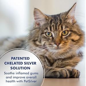   PetSilver-Teeth-Gum-Water-Additive-Dental-Care-for-Pets-with-Patented-Chelated-Silver-Natural-Dog-Breath-Freshener-Targets-Tartar-Plaque-No-Brushing-Cat-and-Dog-Teeth-Cleaning-12-fl-oz