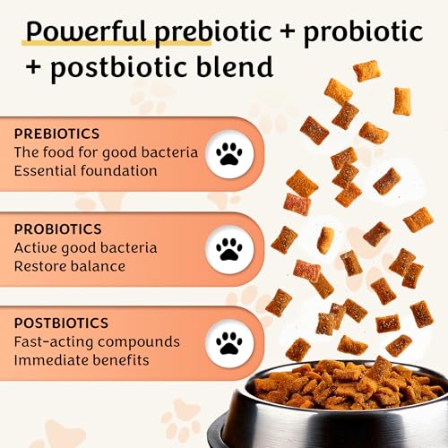 Pawital Belly Biotics: Präbiotischer, probiotischer und postbiotischer 3-in-1 Hundesnack – bei übermäßigem Pfotenlecken, Juckreiz und Verdauungsproblemen – 1 B KBE – 360 Leckerlis