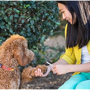 Bona Fide Beauty Pet Nail File Made of Czech Glass, Quiet and Painless Pet Nail Filer for Small Dogs, Cats, Birds, and Rabbits
