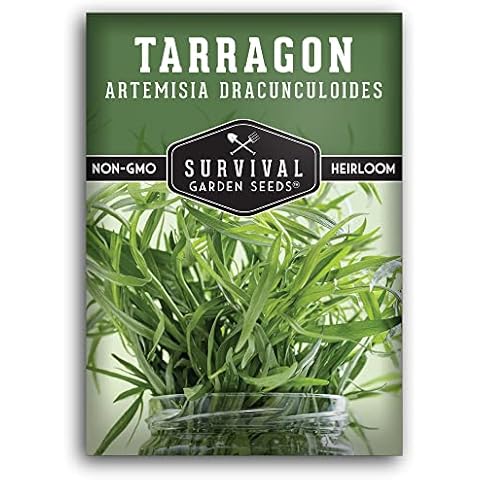 SURVIVAL GARDEN SEEDS Russian Tarragon Seed thumbnail