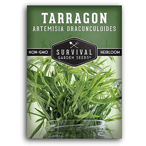 Russian Tarragon Seeds for Planting - Heirloom Culinary Herb - Non-GMO Open-Pollinated Perennial Seed for Growing - Survival Garden Seeds (1 Pack)