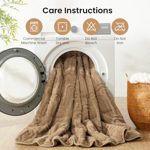 Image of Drewin Weighted Blanket for Adults Queen Size 15lbs, Soft Cozy Turtleback Sherpa Weighted Blankets for Sleeping and Calming, Thick Bed Blanket for Couch Bed, 60 x 80 inches, Brown
