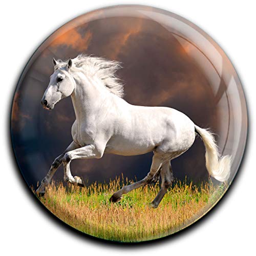 metALUm Muy Fuerte imán para frigorífico en la Forma rendonda Caballo Blanco