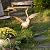 TERESA'S COLLECTIONS Garden Decor for Outside,Brass Metal Crane Garden Statues for Outdoor Decor,Vivid Bird Yard Art Decorations Lawn Ornaments for Porch,Patio,Backyard,Housewarming Gift