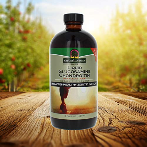 Natures Answer Liquid Glucosamine And Chondroitin With Msm Natural Orange - 16 Fl Oz #TOP2