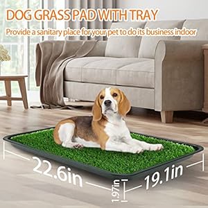 Dog Grass Pad with Tray, Dog Potty Grass for Puppy Training, Artificial Fake Grass for Dogs to Pee on Indoor Outdoor