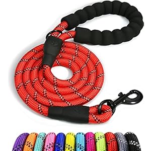 Taglory Correa de Perro, 1,2 m Correa de Fuerte de Perro para Perros Medianos y Grandes con Mango Acolchado Suave y Hilos Reflectantes, Rojo