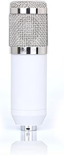 THEGIS Sound Card Kit Professional Condenser Microphone Bluetooth Wireless Karaoke Sound Card With Cantilever Bracket Fill Light Studio Setup For Recording Music (Color : White BM800, Size : 1)