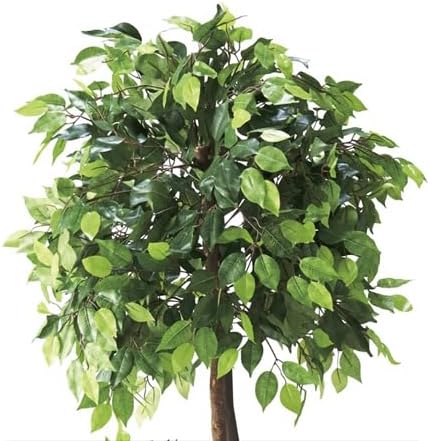 ストア・エキスプレス ベンジャミンダブル フェイクグリーン H180cm 61