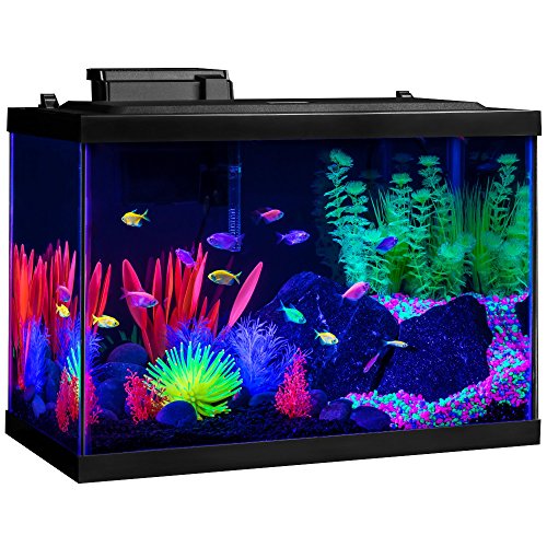 Image of GloFish 20 Gallon Aquarium Kit with LED Lights, Decor Heater and Filter
