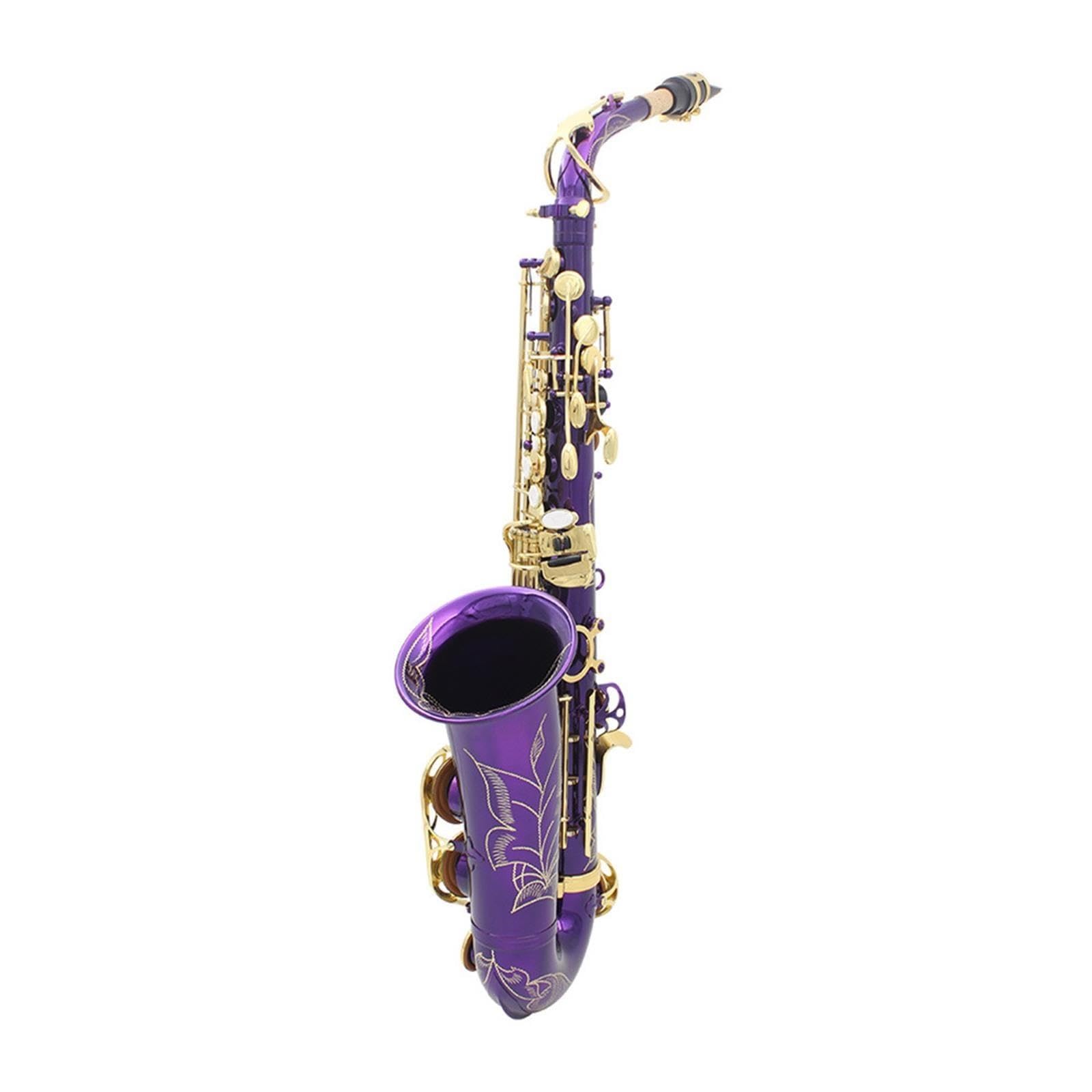 Saxofón Rendimiento Del Examen Calificado De Saxofón Alto En Mi Bemol