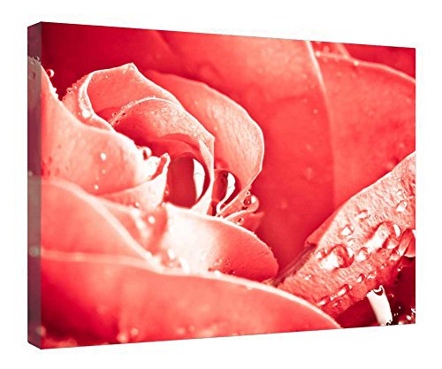 Impression sur toile rose déco murale avec cadre en bois prêt à suspendre